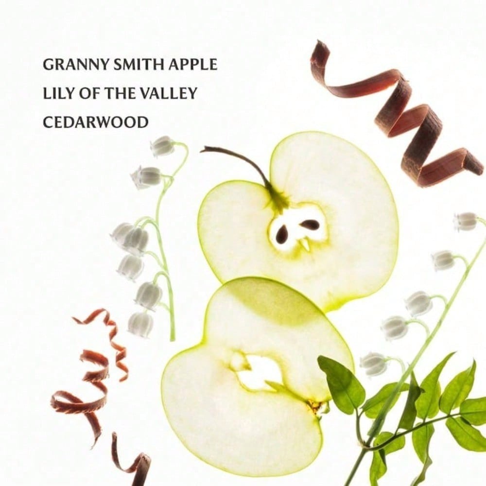 Touchland  Power Mist Hydrating Hand Sanitizer Applelicious Graduation Birthday Holiday Summer Fall Autumn Y2K Fancy Fashion Women Brand Makeup Cosmetic Beauty Party Beach Travel Camping Outdoors School Campus Trip Festivals Decor Gift Present Rose Girl C